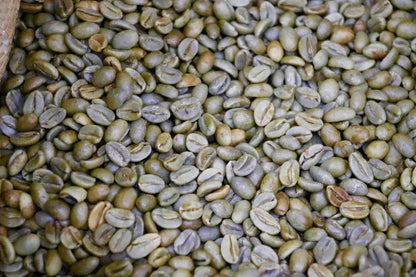 Guadalupe Roastery, Award-Winning Natural Parainema 2026